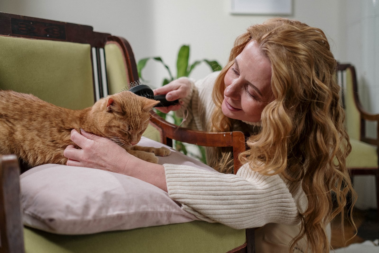 A woman gently caring for an orange cat