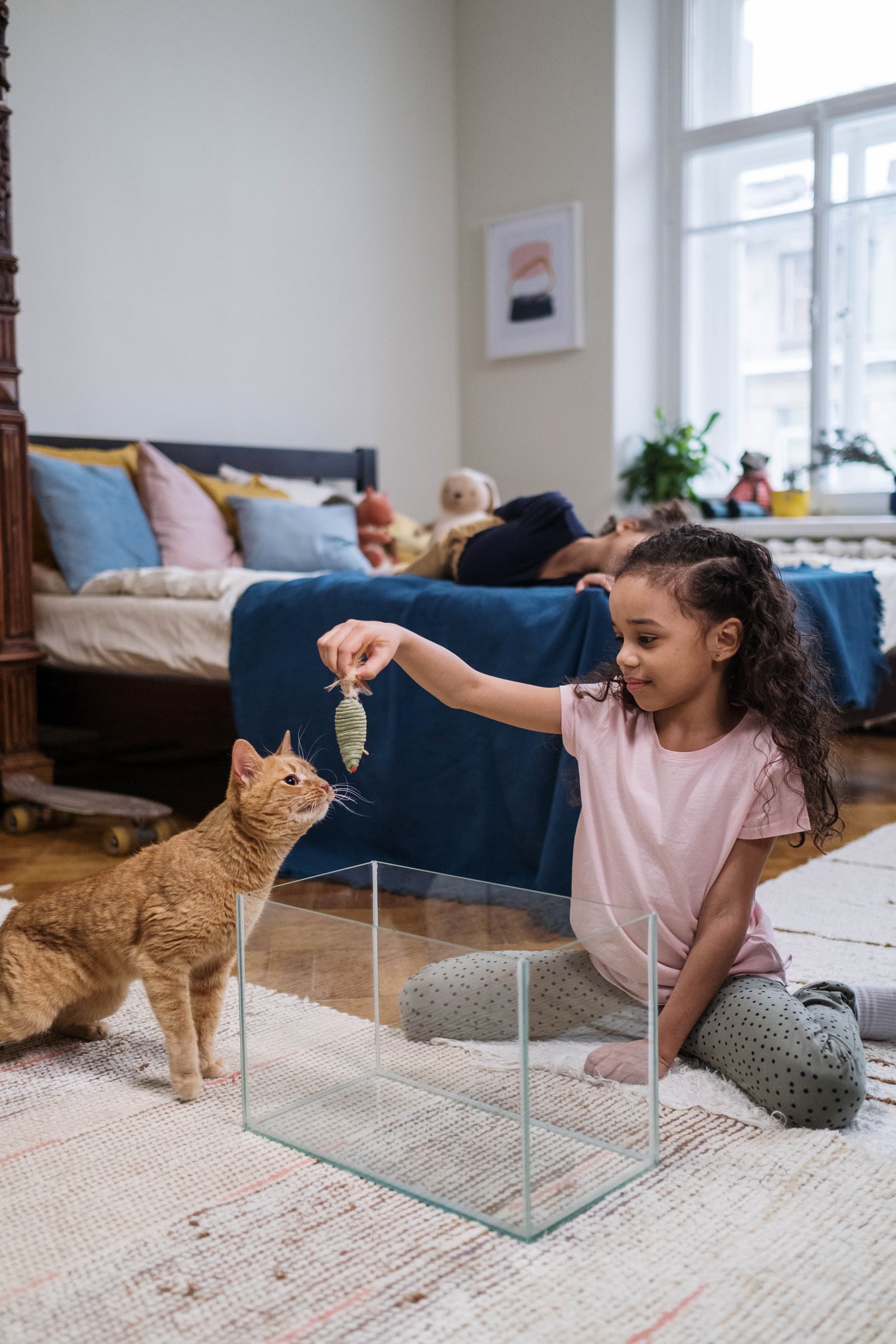 A child playing gently with an orange cat