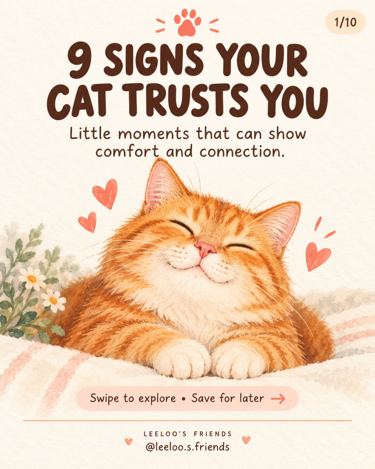 Leeloo’s Friends educational illustration about signs that a cat trusts you